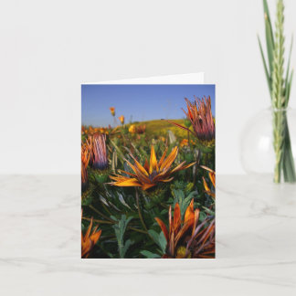 Thank you note: Field of Flowers