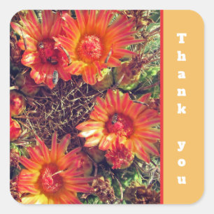 Thank You Orange Cactus Flowers Photo Appreciation Square Sticker