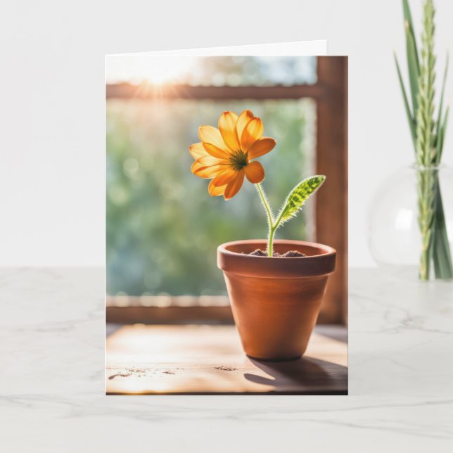 Thank You Orange Daisy Card (Front)