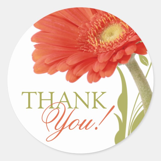 Thank You | Orange Gerbera Daisy Classic Round Sticker (Front)