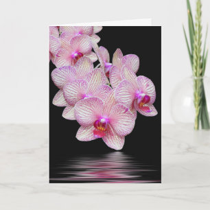 Thank You Orchid Sympathy Card