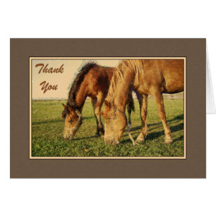 Thank You Painted Horses