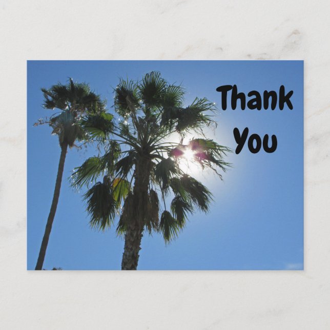 Thank You Palm Tree Tropical Sunburst Appreciation Postcard (Front)