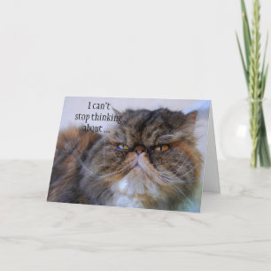 Thank You Persian Calico Kitty Princess Card