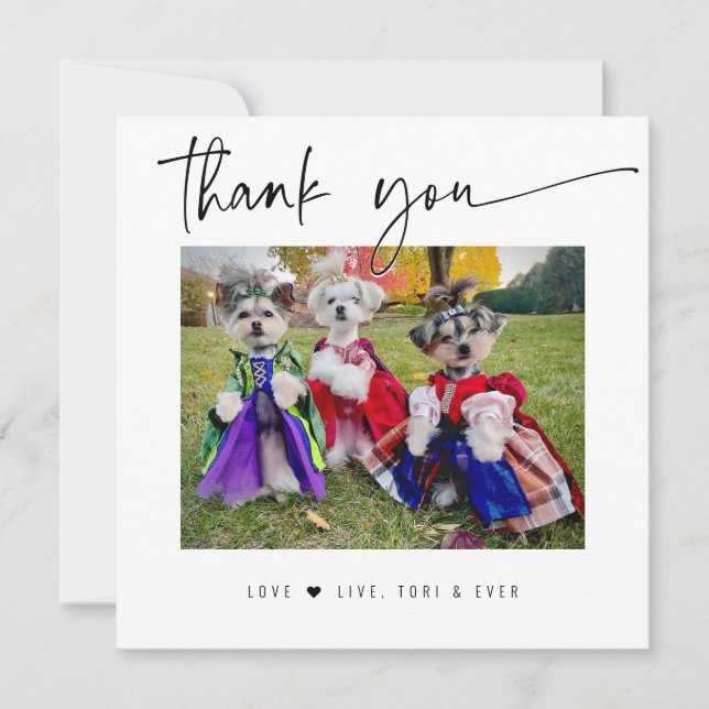 THANK YOU PET PHOTO modern simple script (Front)