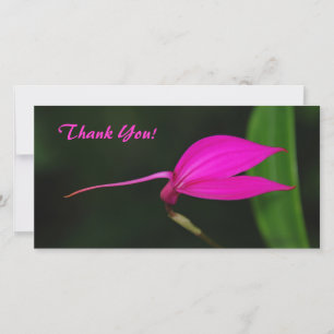 Thank You Photo Card