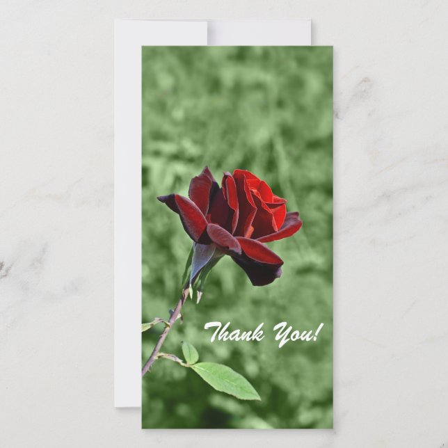 Thank You Photo Card (Front)