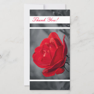 Thank You Photo Card