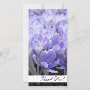 Thank You Photo Card