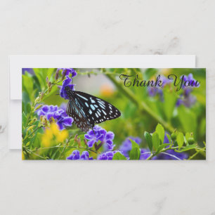 Thank You photo card - Blue Tiger Butterfly
