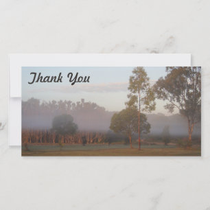 Thank You photo card - Kangaroos in the fog