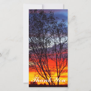 Thank You photo card - sunset