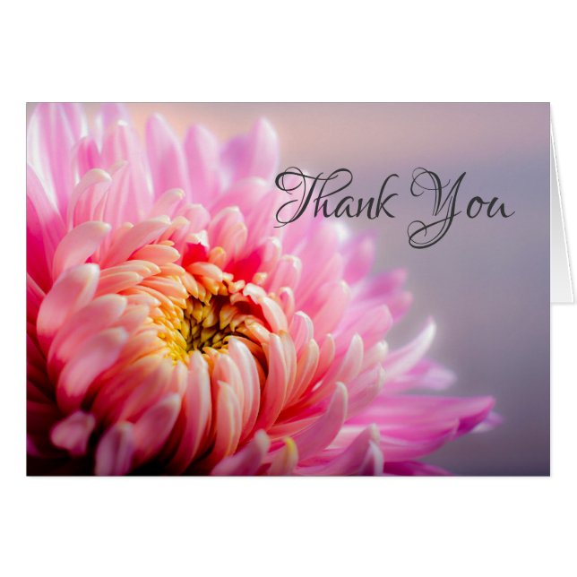 Thank You Pink Chrysanthemum Macro Photo Note Card (Front Horizontal)