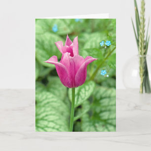 Thank You Pink Tulip Card