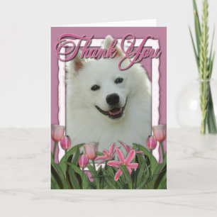Thank You - Pink Tulips - American Eskimo Card