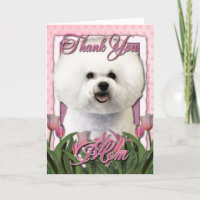 Thank You - Pink Tulips - Bichon Frise