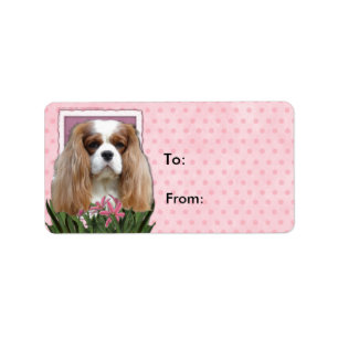 Thank You - Pink Tulips - Cavalier - Blenheim Label