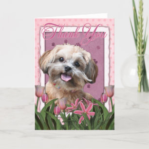 Thank You - Pink Tulips - ShihPoo - Maggie Card