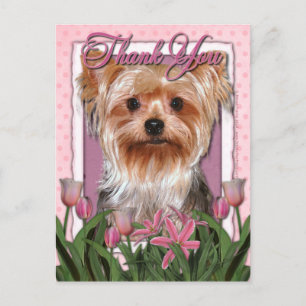Thank You - Pink Tulips - Yorkshire Terrier Postcard