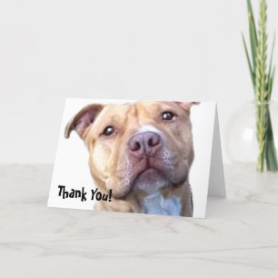 Thank You Pitbull greeting card