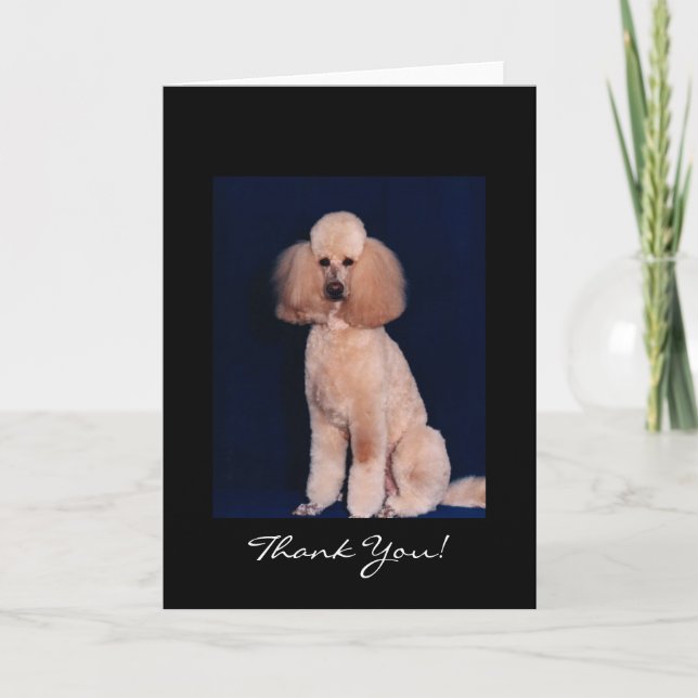 Thank You Poodle Card (Front)