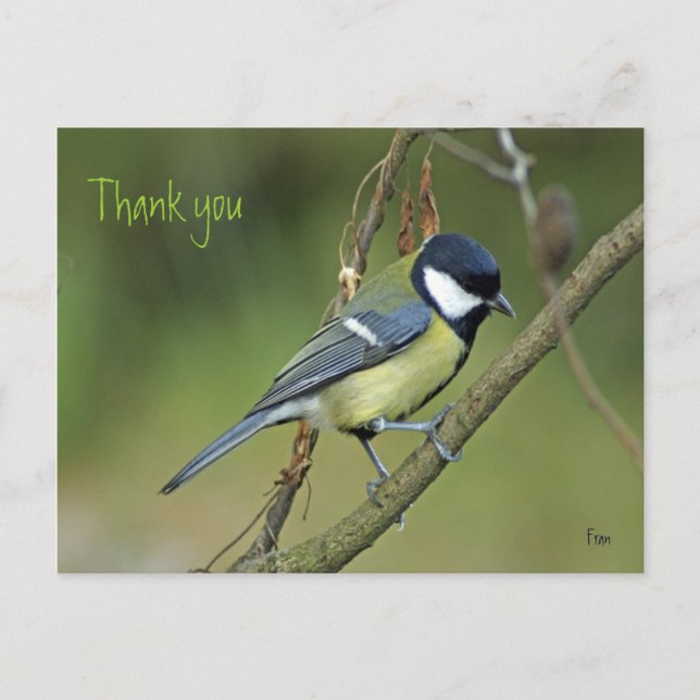 Thank you postcard (Front)