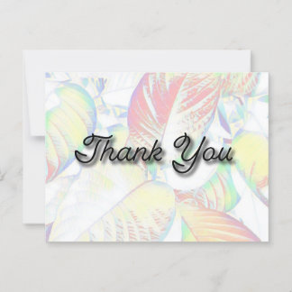 Thank You Postcard
