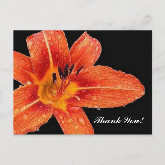 Thank You! Postcard
