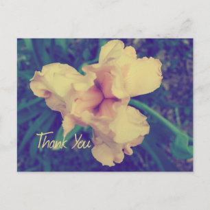 Thank You Postcard