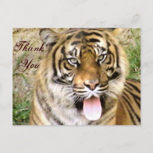 Thank You_ Postcard