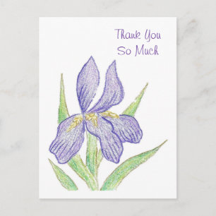 Thank You Postcard