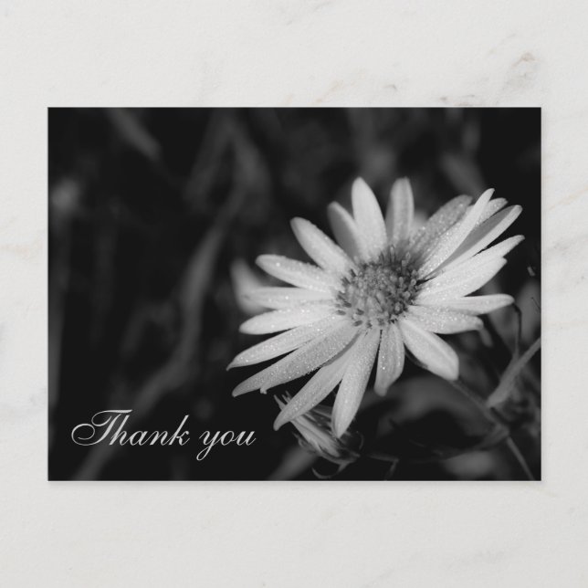 Thank you postcard (Front)