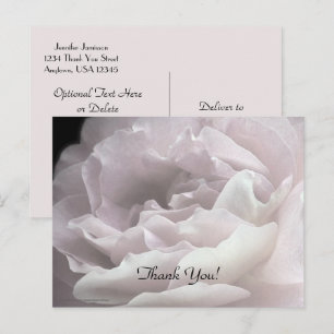 Thank You Postcard, Pale Pink Rose Postcard