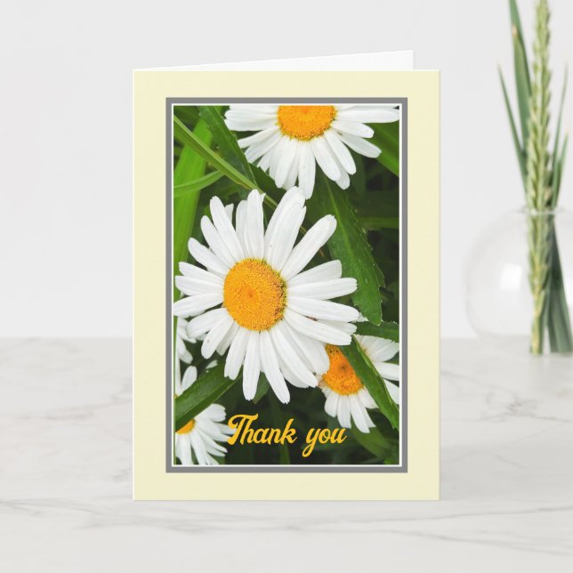 Thank You Pretty White Daisies Custom Card (Front)