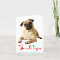 Thank You Pug Puppy Dog Blank Note Card