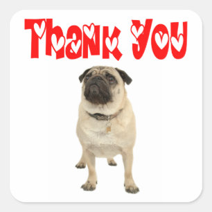 Thank You Pug Puppy Dog Greeting Sticker / Label