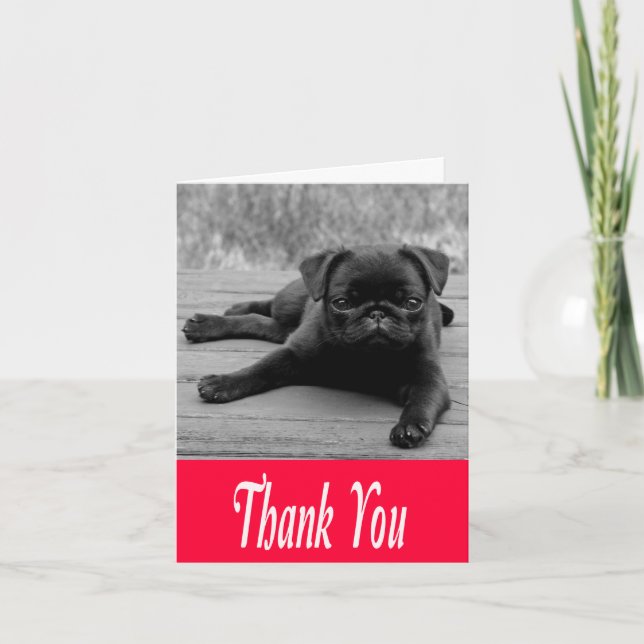 Thank You Pug Puppy Pink, Black & White Note Card (Front)