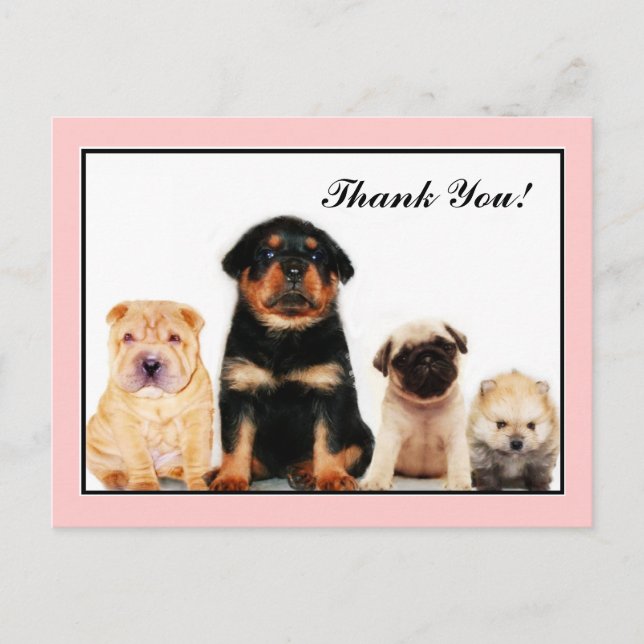 Thank You Puppies postcard (Front)