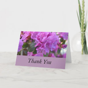 Thank You Purple Azaleas