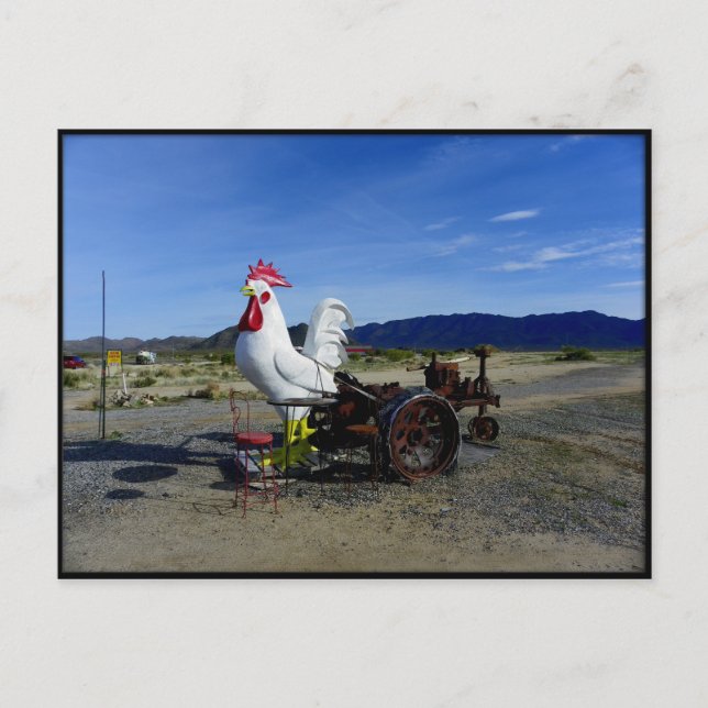 Thank You Ragnar Relay Race 2010 Postcard (Front)