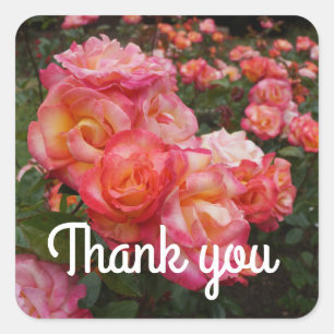 Thank You Rainbow Sorbet Rose #4 Stickers