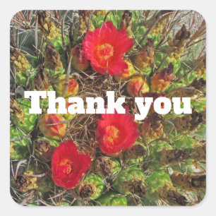 Thank You Red Cactus Flower Desert Plant Photo Square Sticker