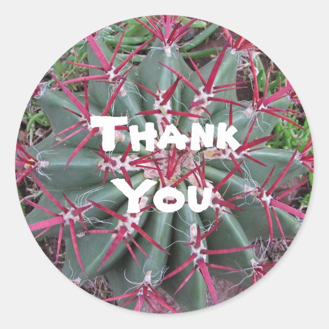 Thank You Red Green Barrel Cactus Appreciation Classic Round Sticker (Front)