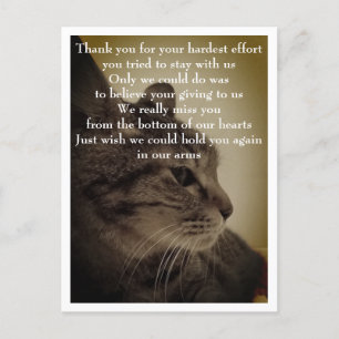 Thank you & RIP  Postcard