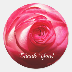 Thank You Rose Classic Round Sticker