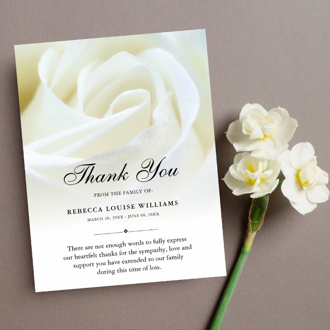 Thank You Rose Floral Funeral Photo Sympathy Grief (White Rose Sympathy Thank You Card)