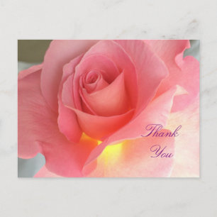 Thank you rose postcard