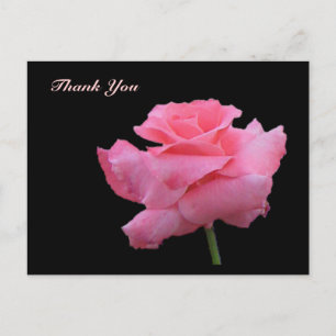 Thank You Rose Postcard