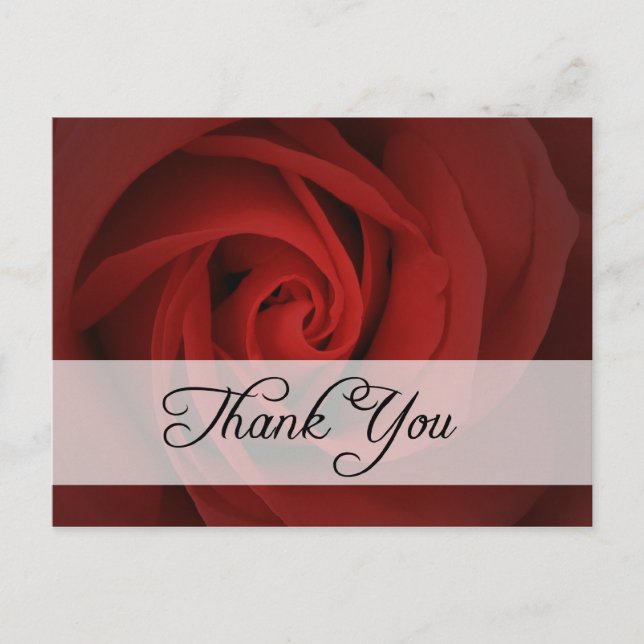 thank you : roses : postcard (Front)