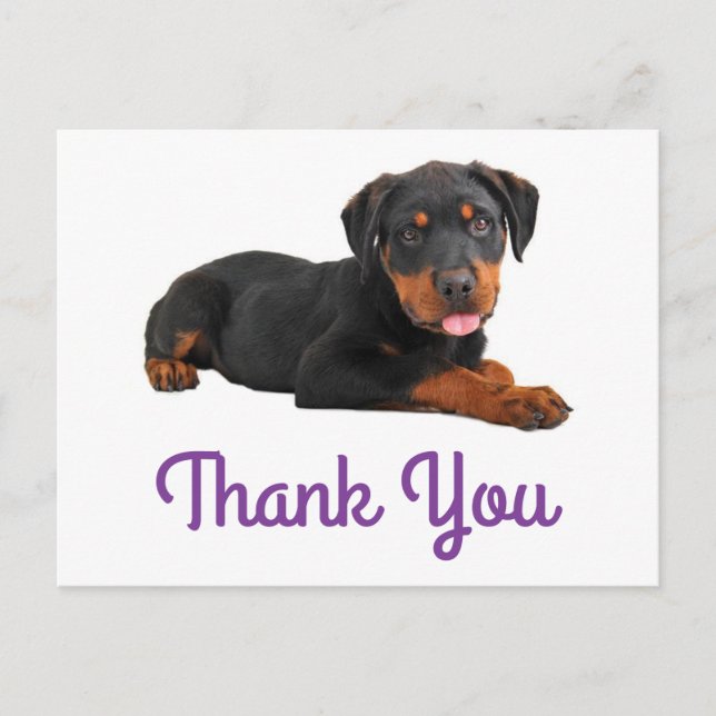 Thank You Rottweiler Puppy Dog Greeting Postcard (Front)